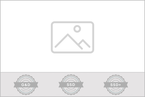 Partners SICE Icono general